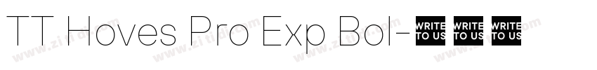 TT Hoves Pro Exp Bol字体转换 TT Hoves Pro Exp Bol字体转换